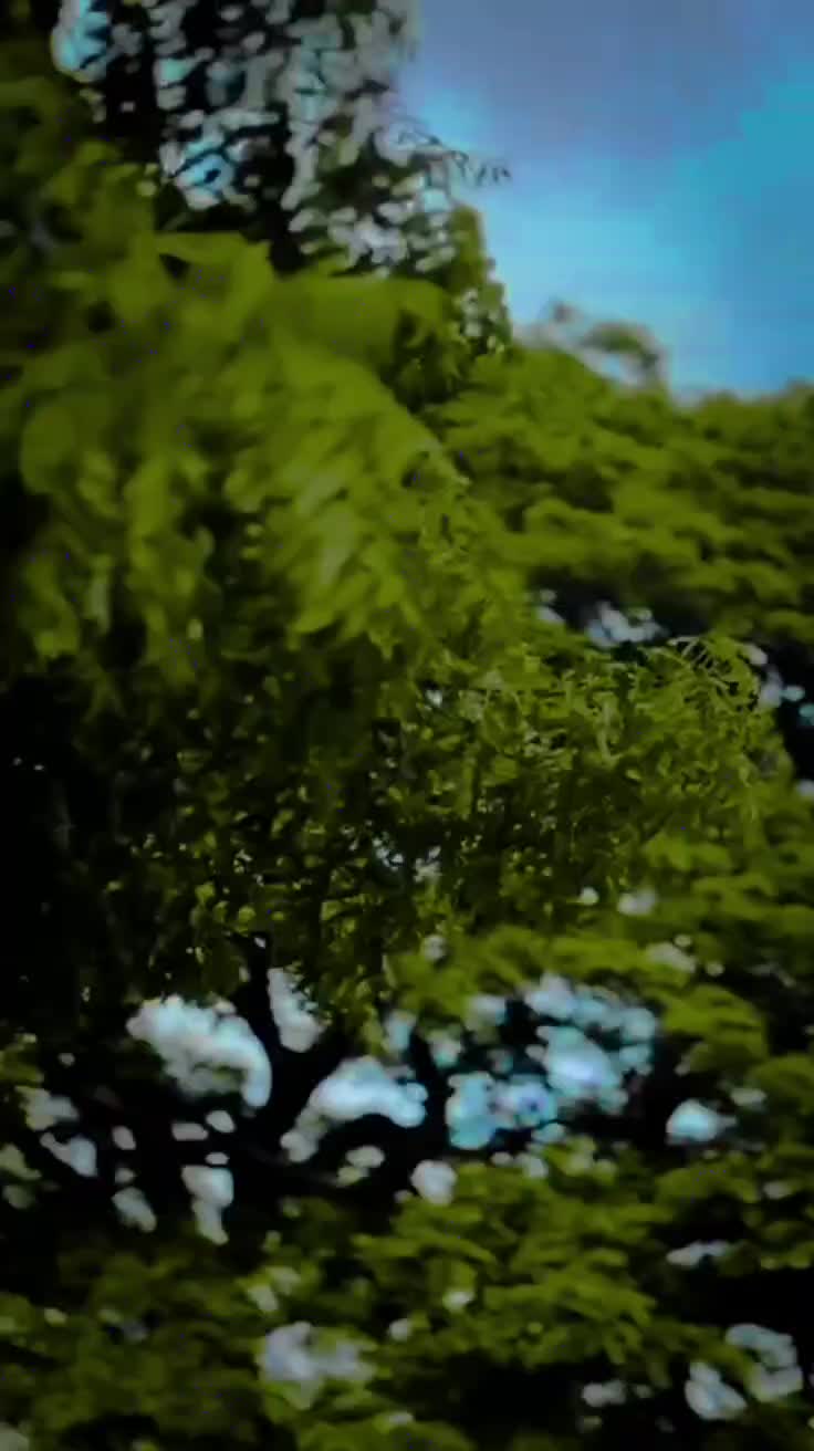 @💥   K ᗪ__ ﻝAǸu ~ 28  🥀💎