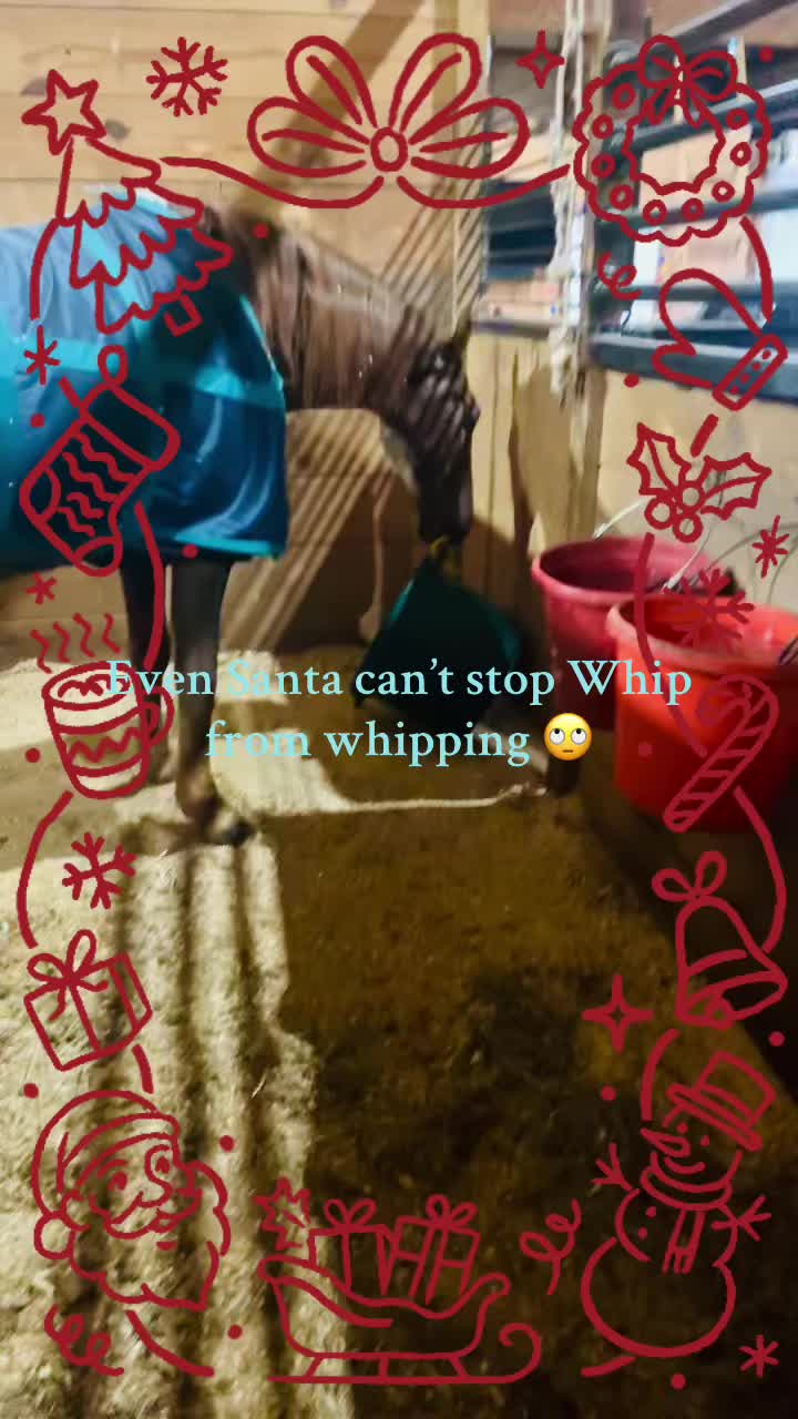 @Watch Us Whip