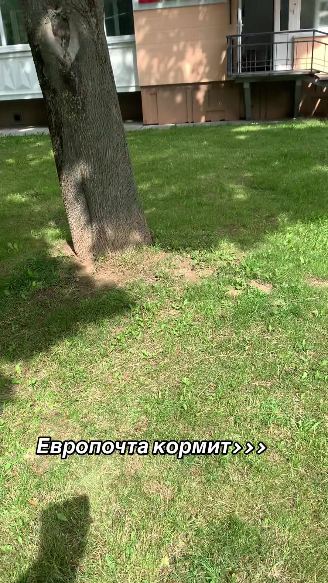 @Ximi_tech🥶