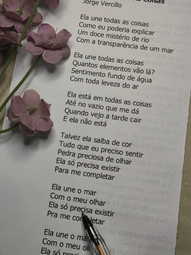 @nacionais lyrics