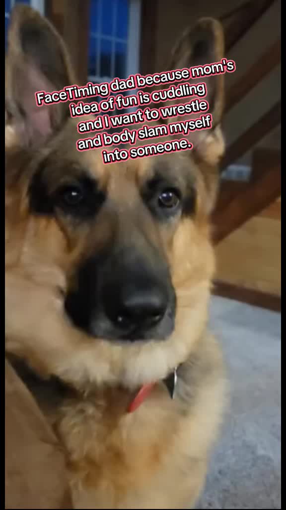 @D&D❌️ and Duke