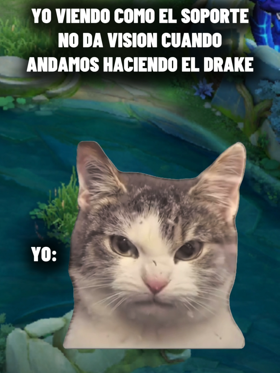 @Trance Vrt