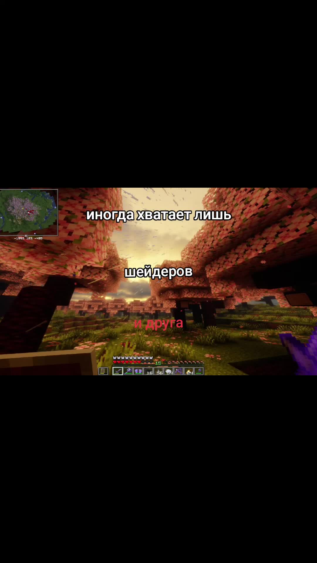 @qezer//true