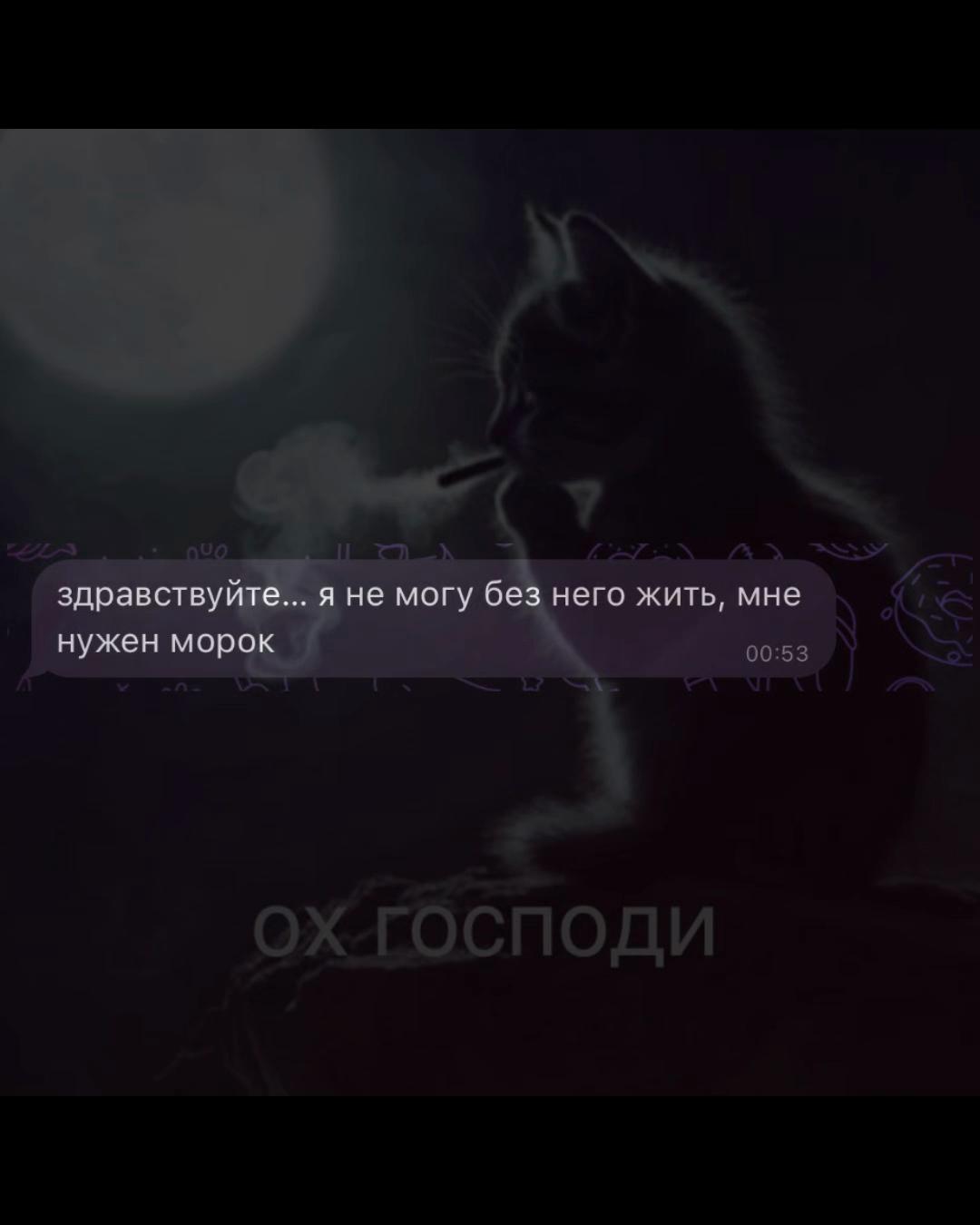 @taro.prorok