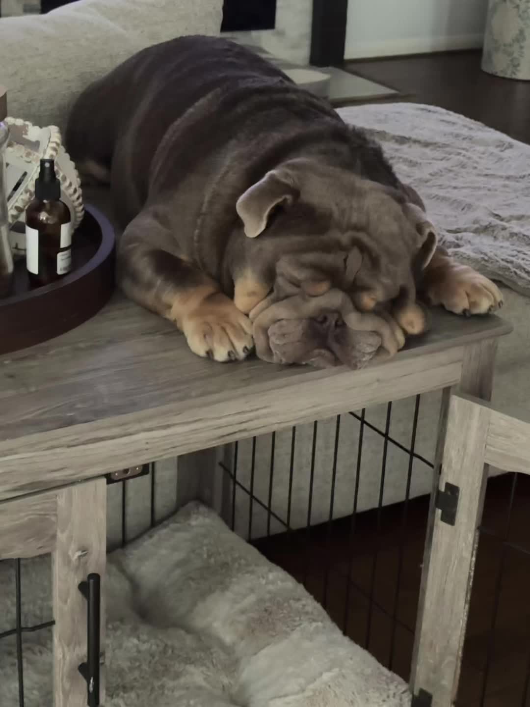 @RawlsTheBulldog