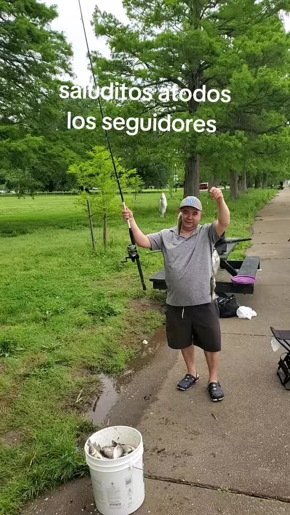 @boty el chapin 502