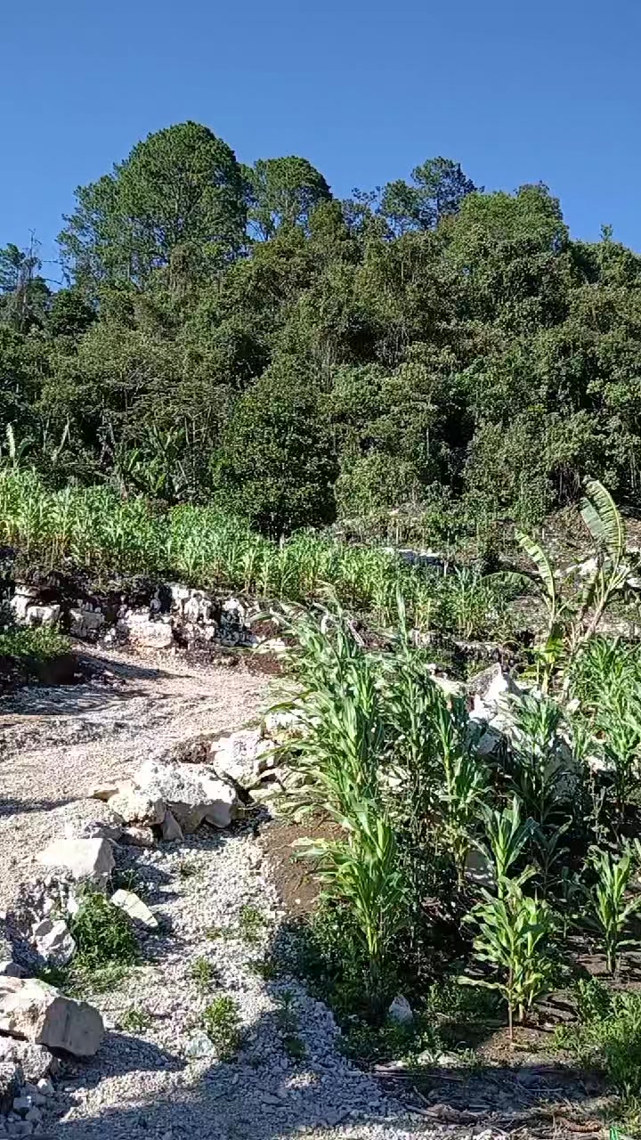 @Yarinavarro