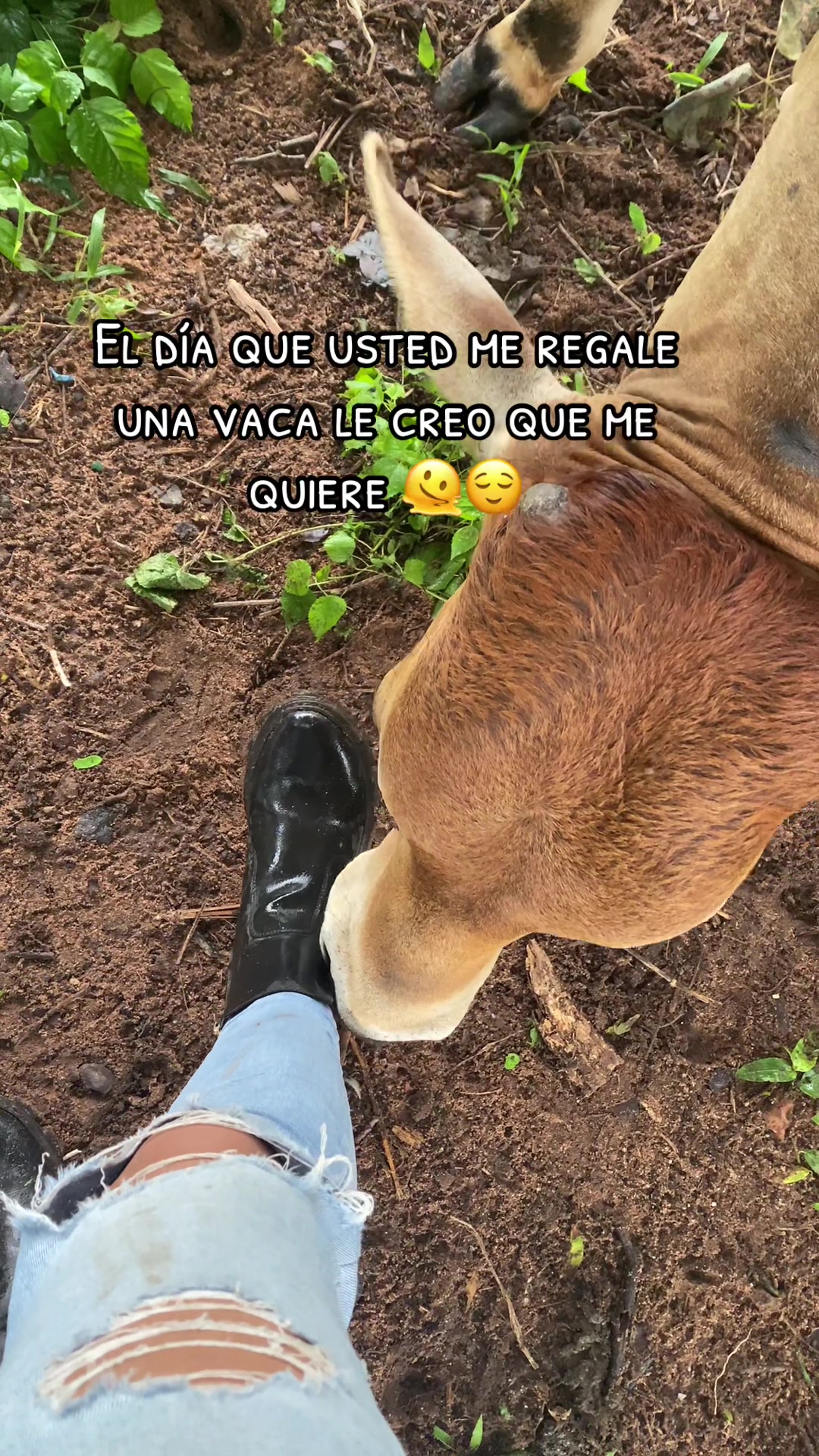 @britmar vanessa