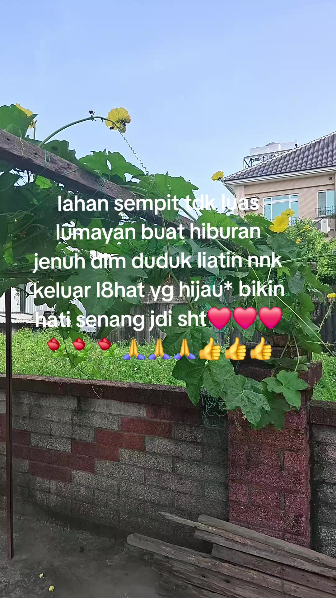 @sisri47