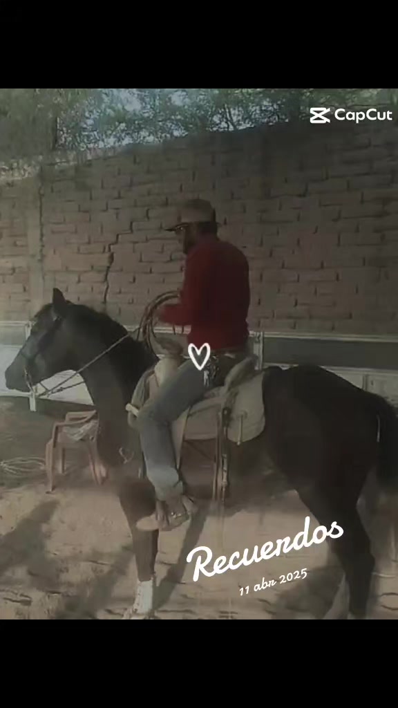@Viejito Cordova✝️🍀❤️🐎🦅