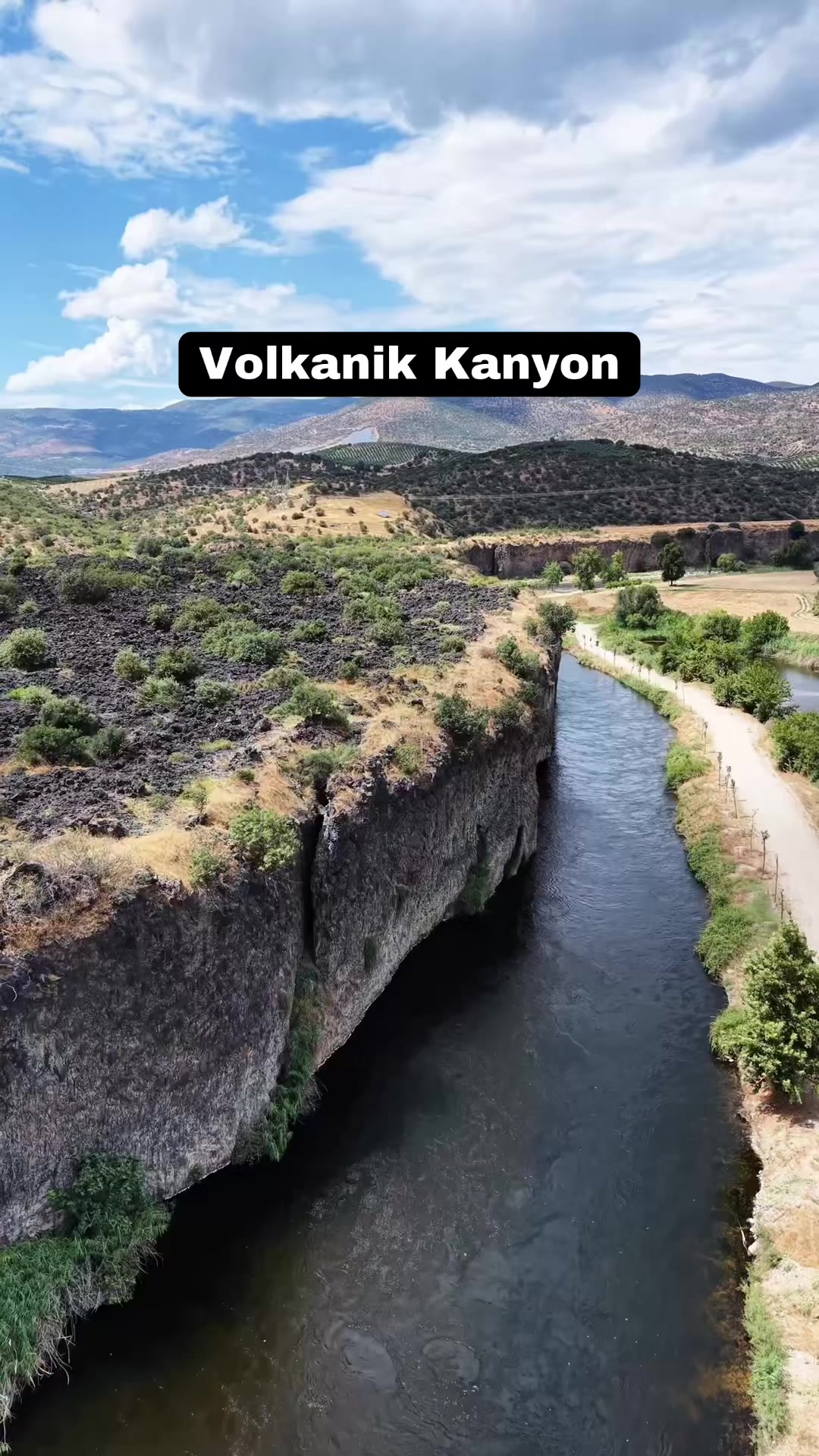 @Muzaffer Salcıoğlu