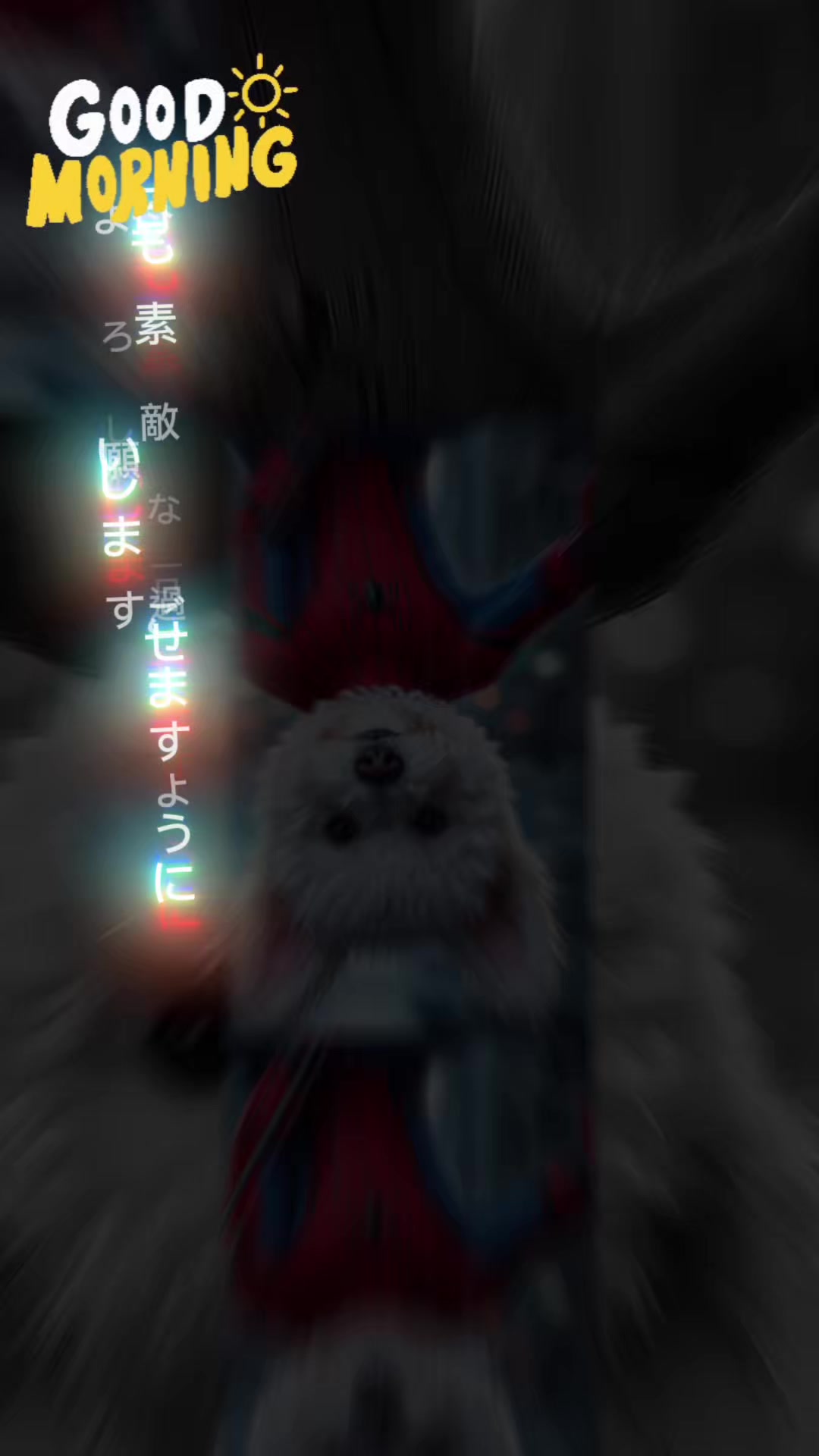 @๐ฉถใซใฃใใใ๐๐๐ฌ