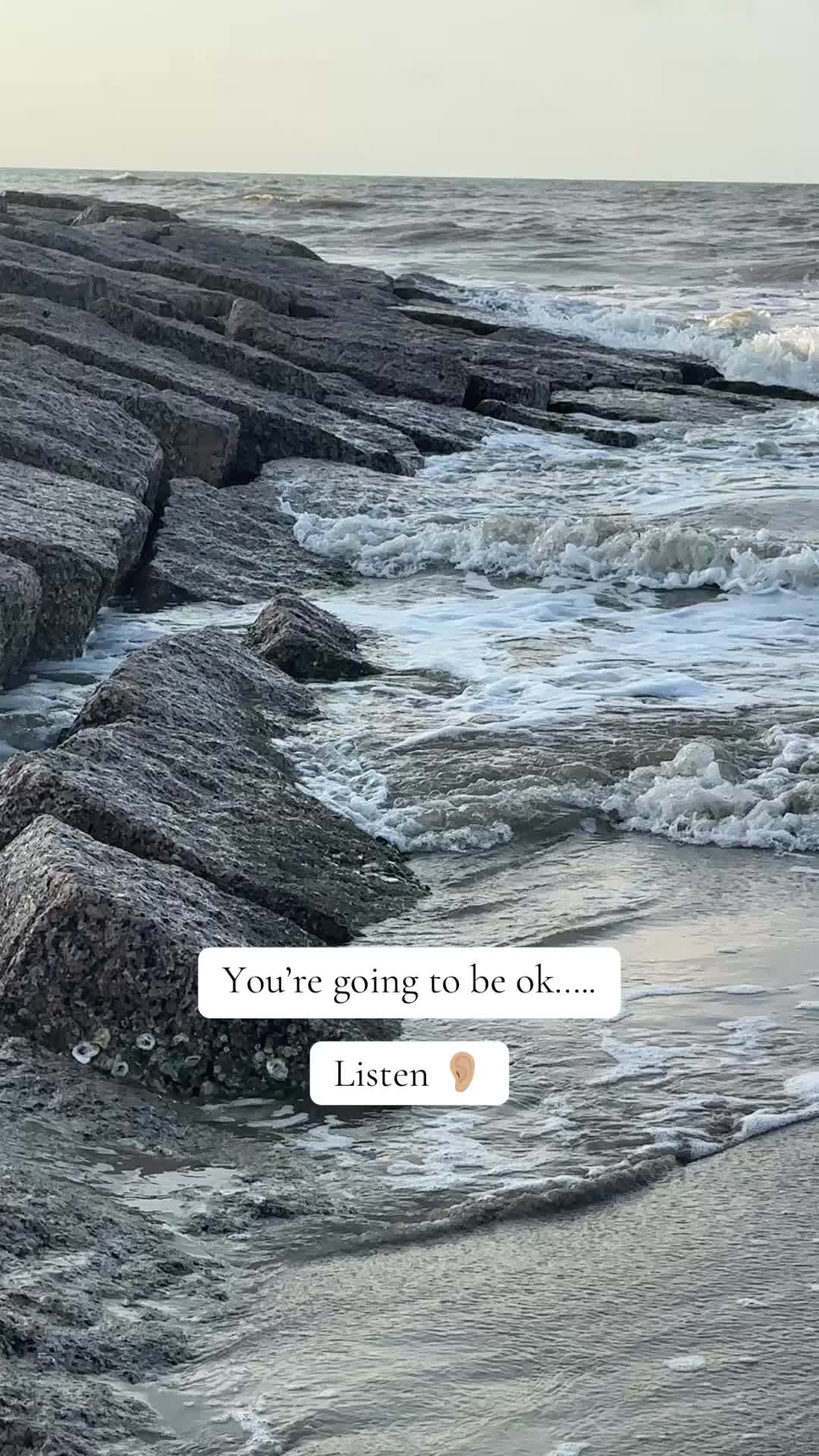 @Momma Squirrel ❌