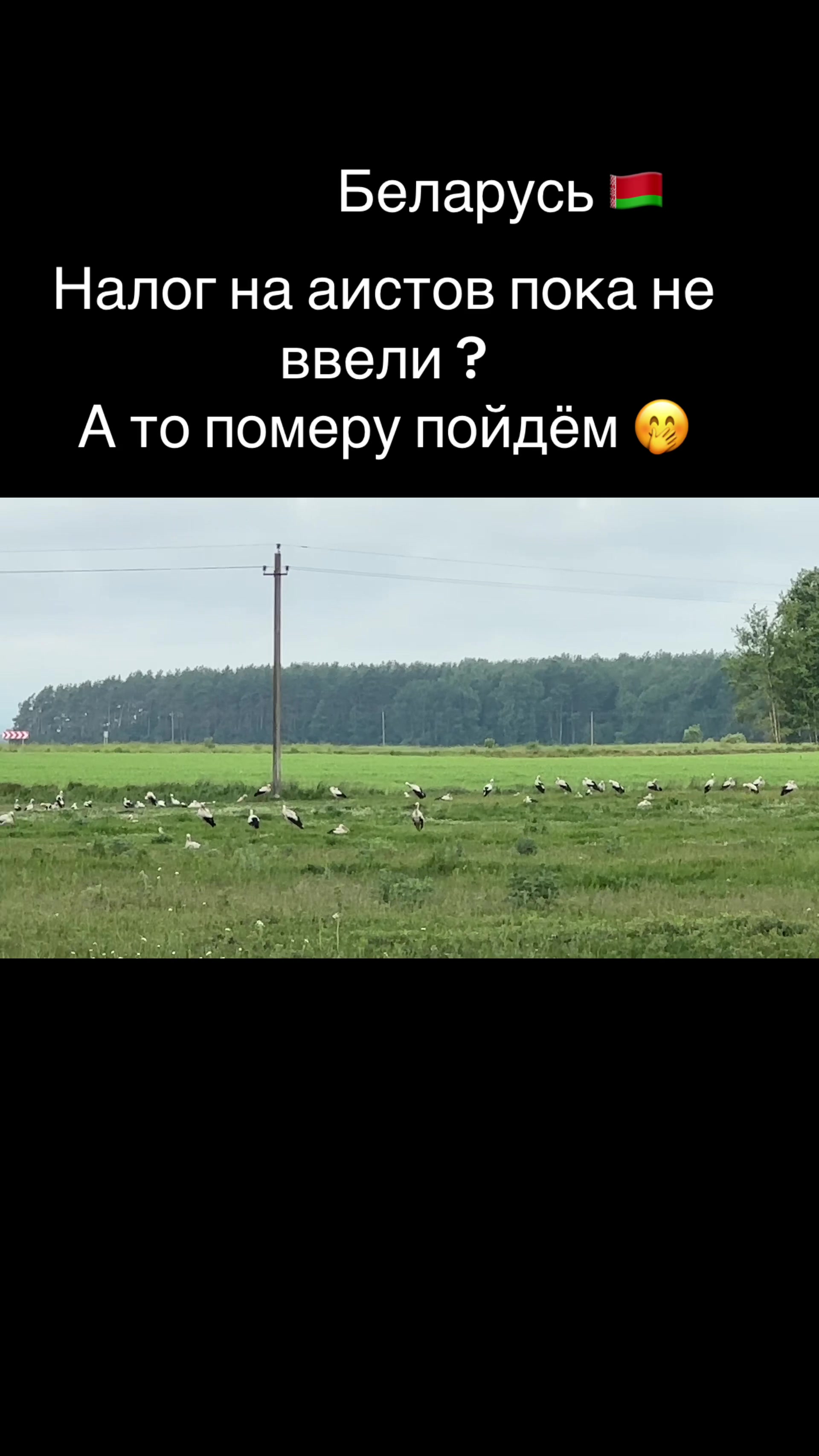 @Анастасия Чернявская.