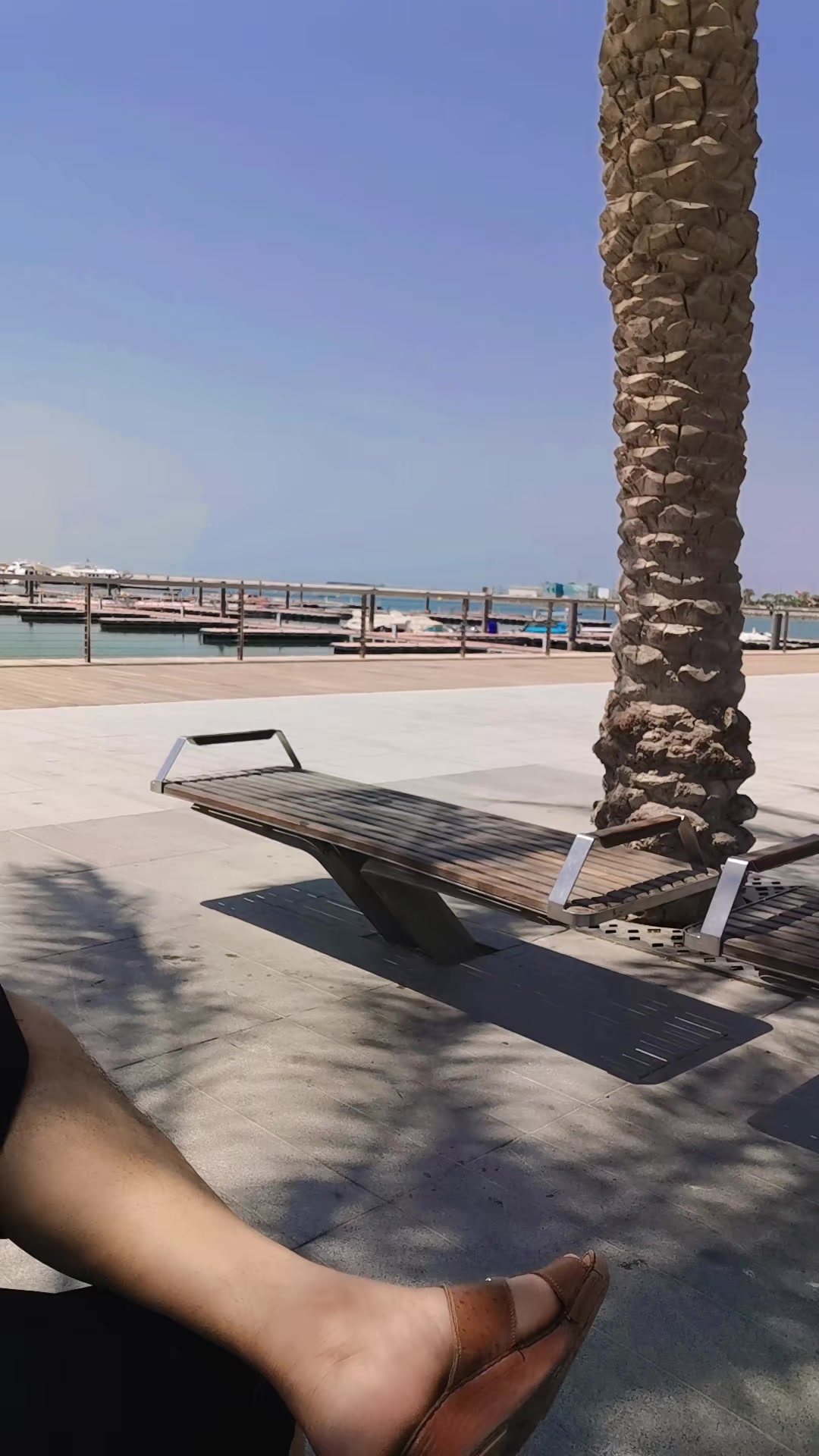 @๐QATAR_KING๐