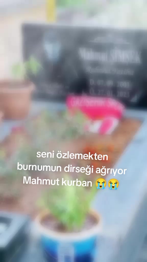@2763mahmut
