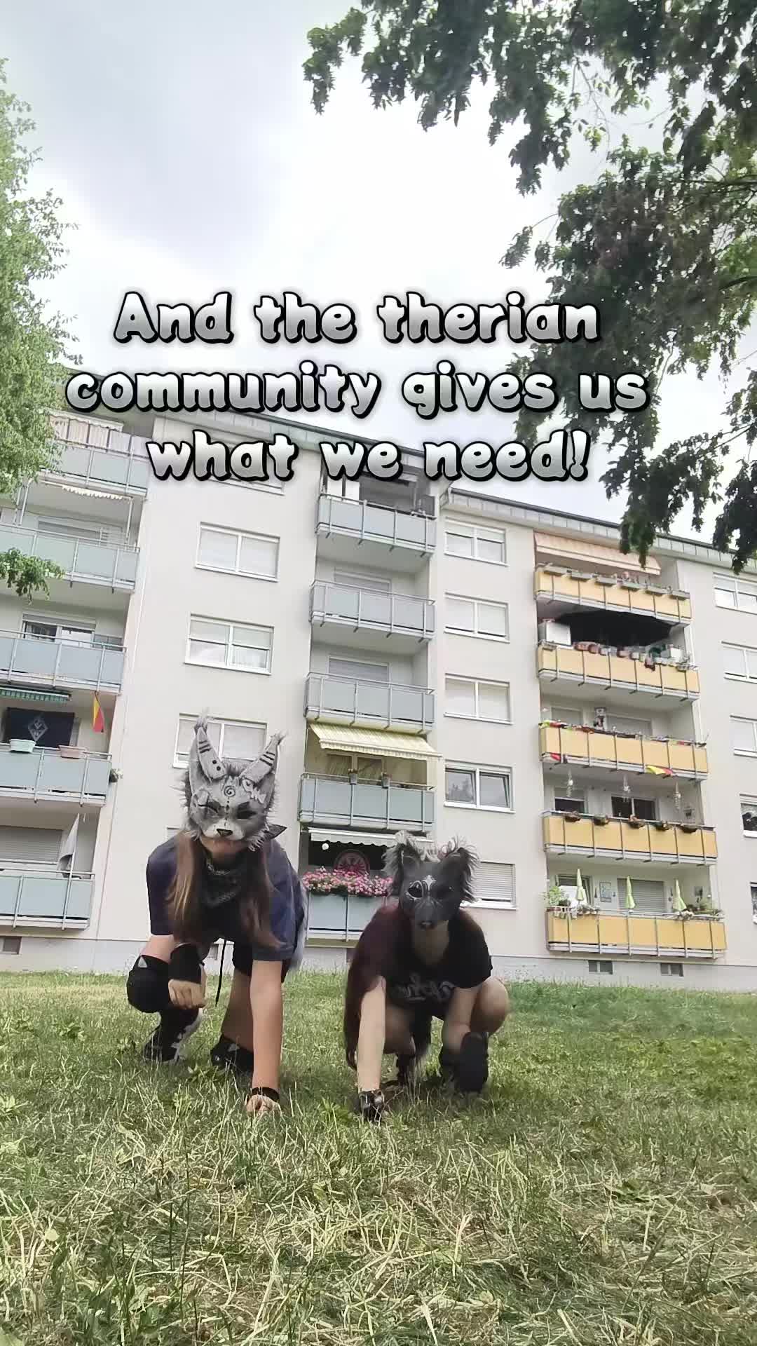 @black wolf and silver fox