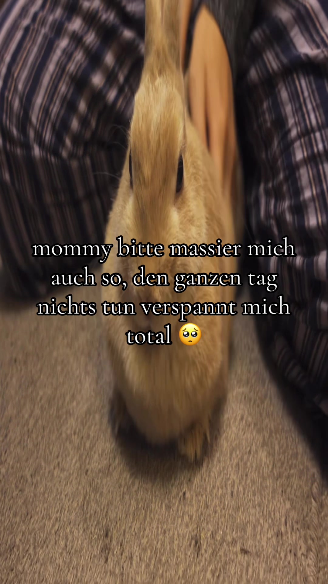 @Eierkopfsalat