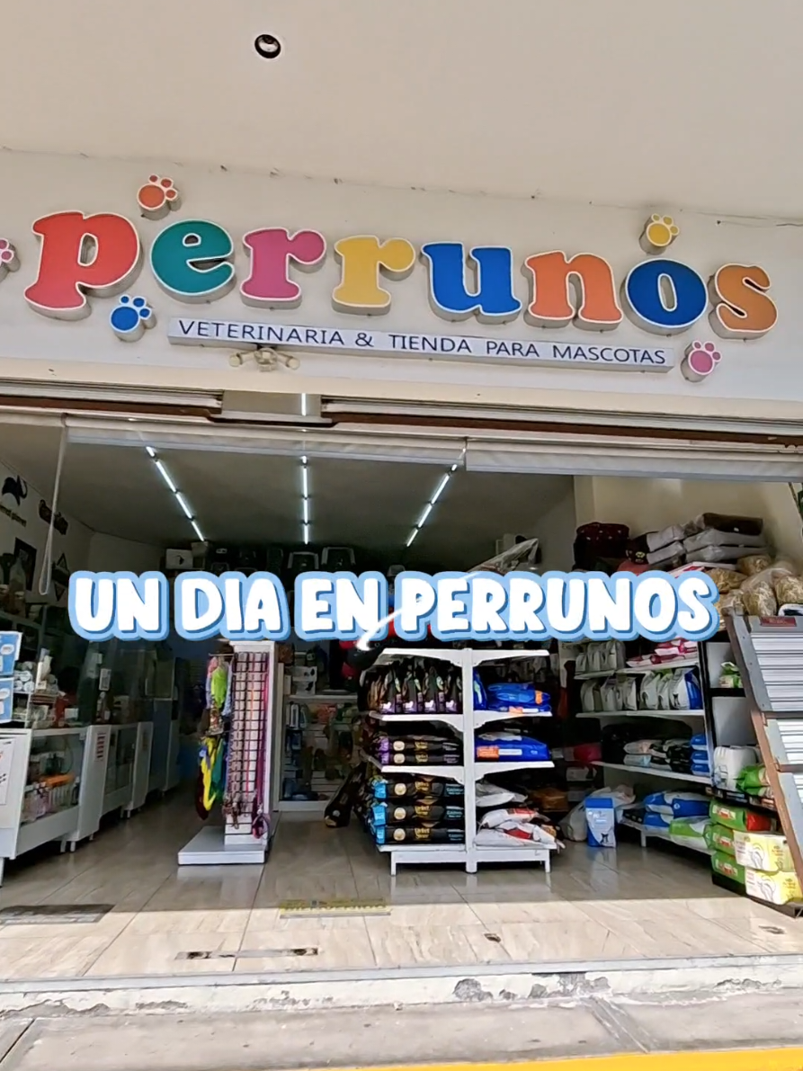@Perrunos Veterinaria