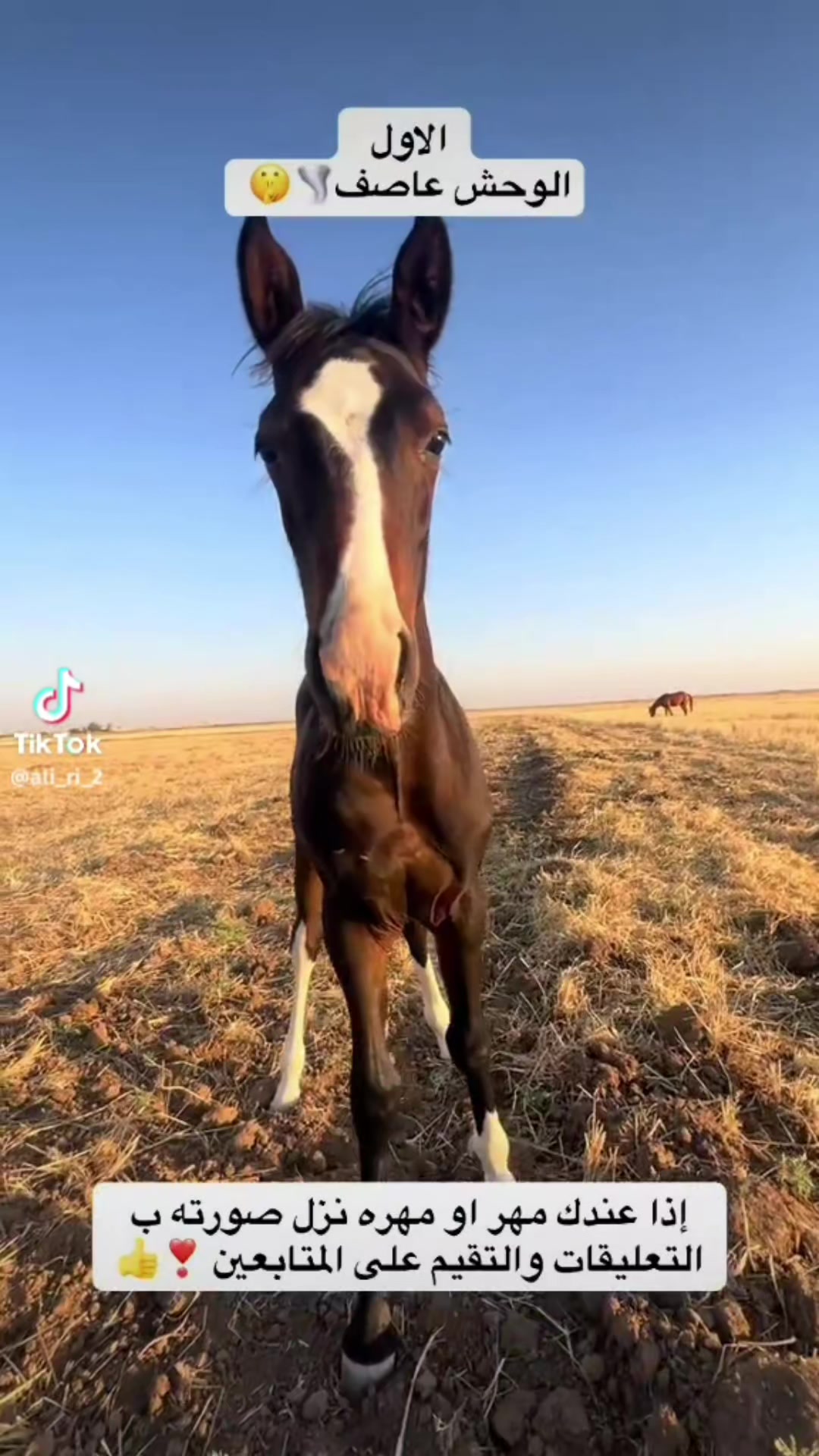 @حمودي حمودي ☺