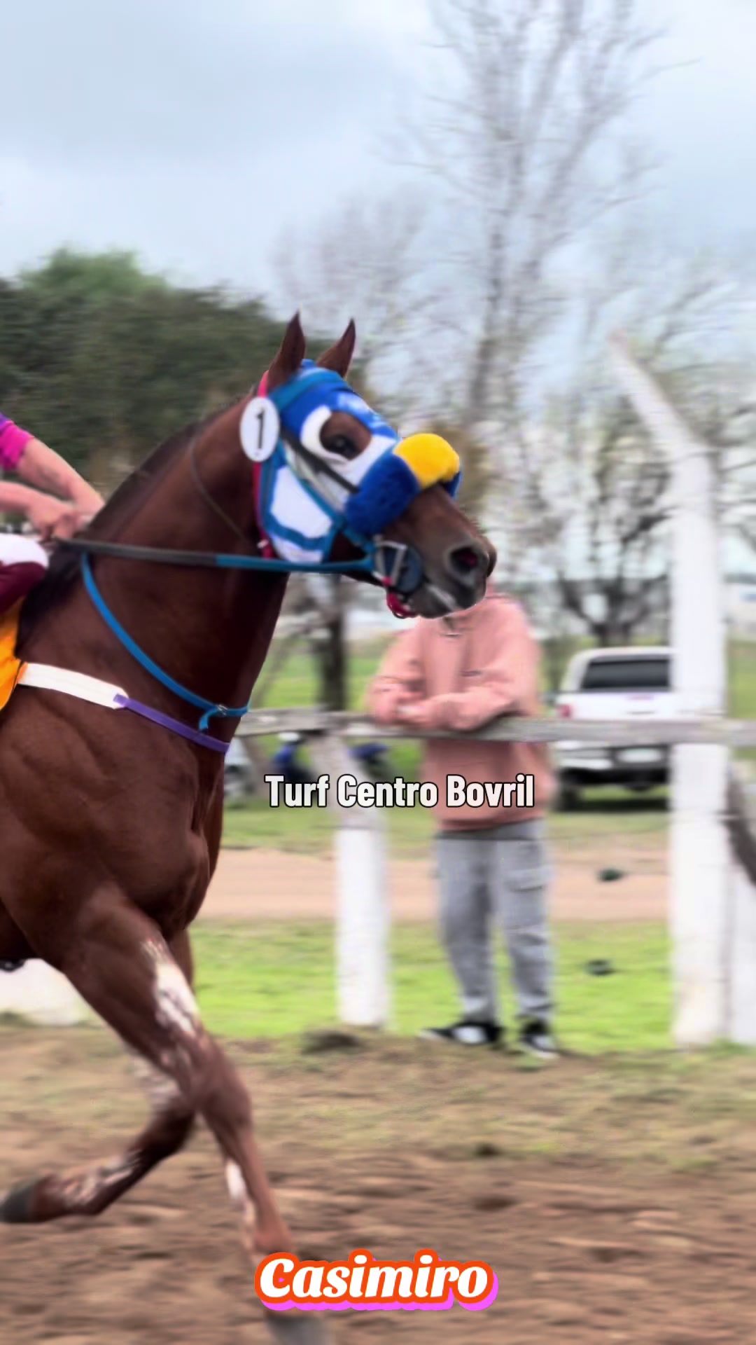 @TURF CENTRO BOVRIL