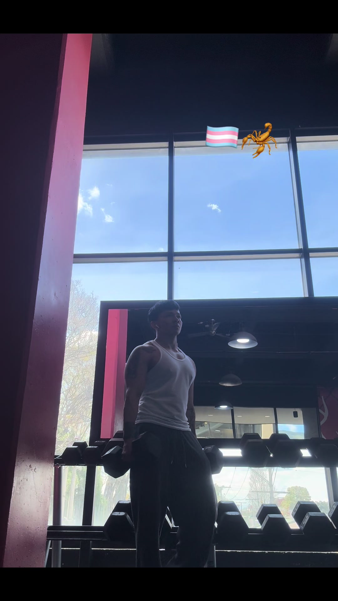 @Alex 👾🏳️⚧️🇨🇴