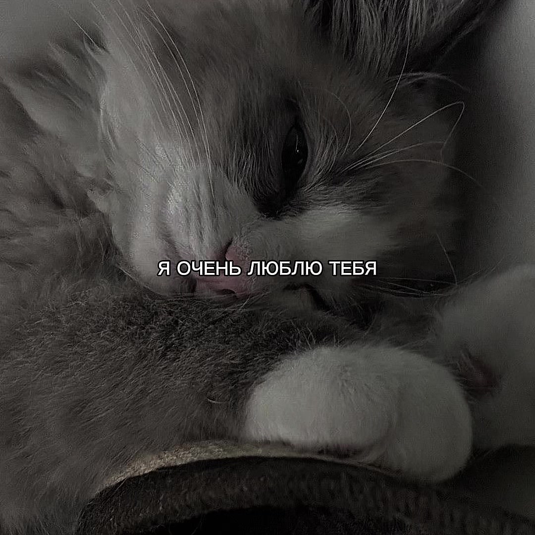@ХХИКА