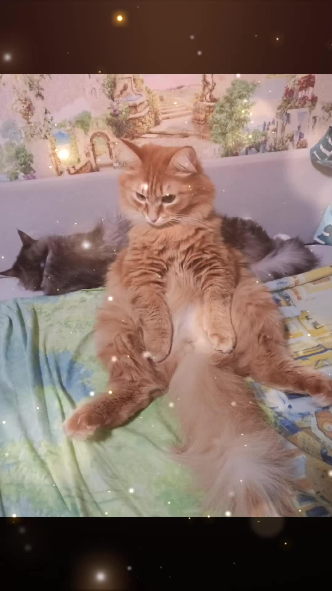 @Oksana