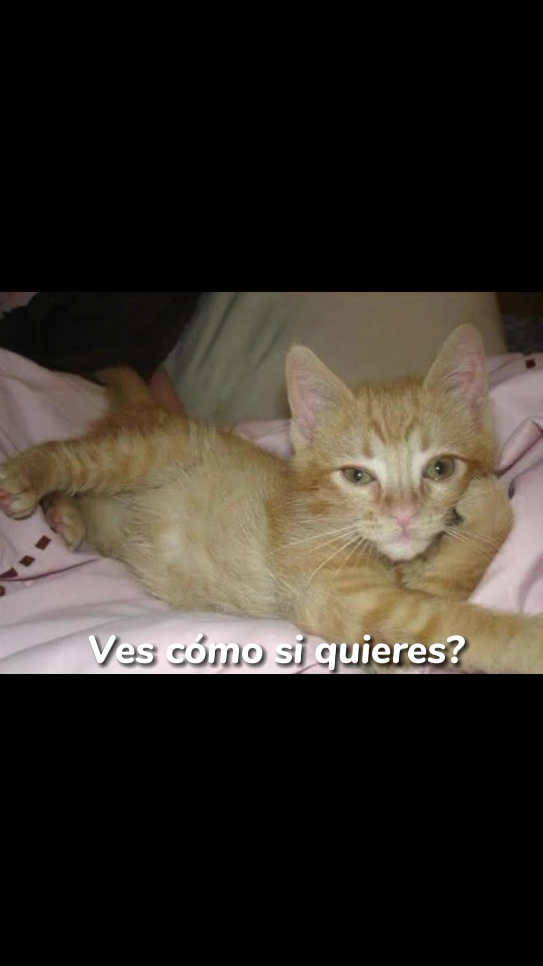 @Judith García