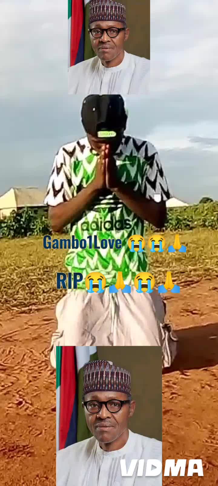 @gambo1