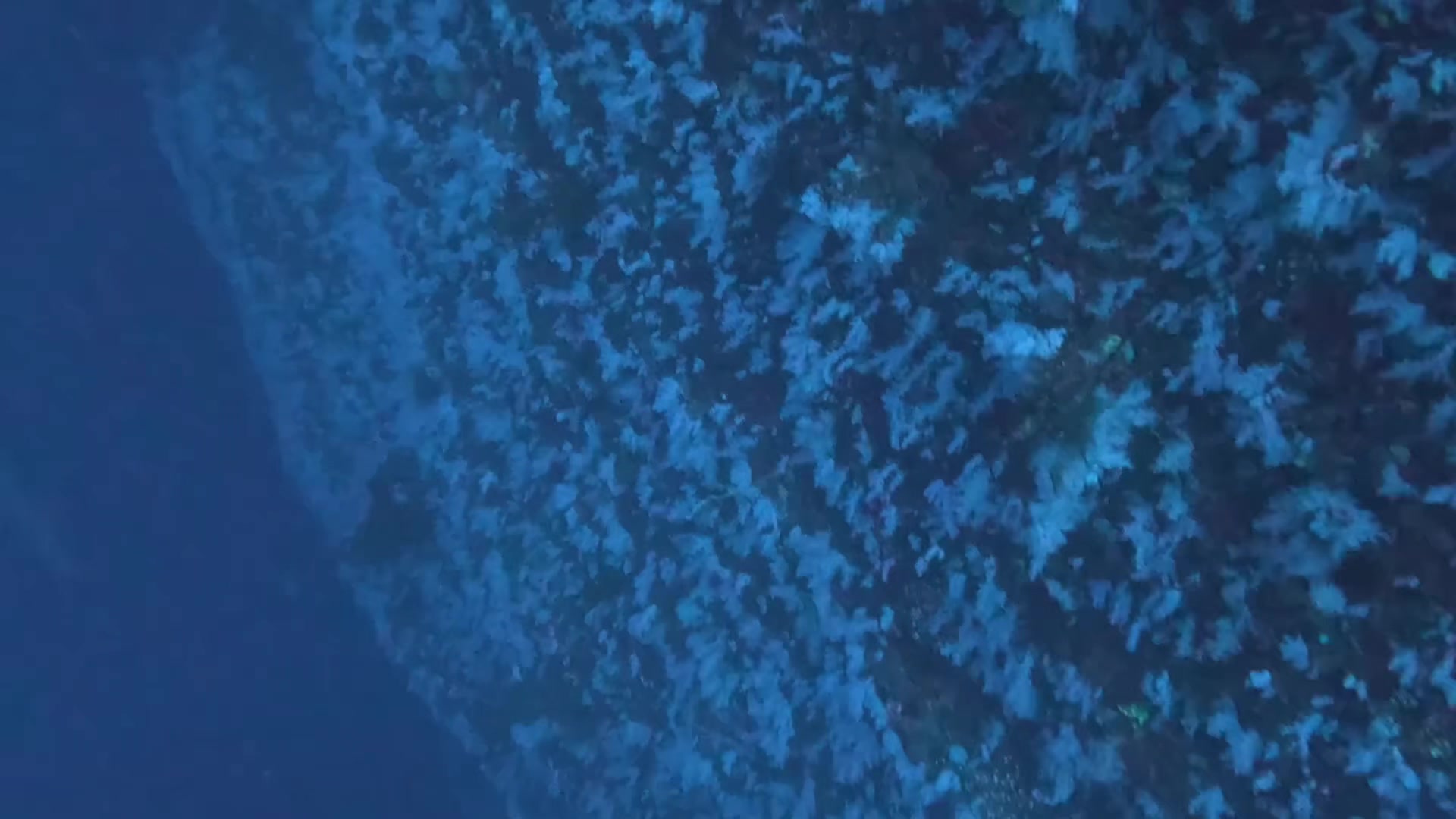 @Diving Tips and Stories