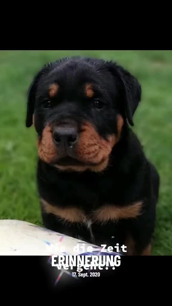 @Nicole❤️Schröder🖤Kowalski ❤️