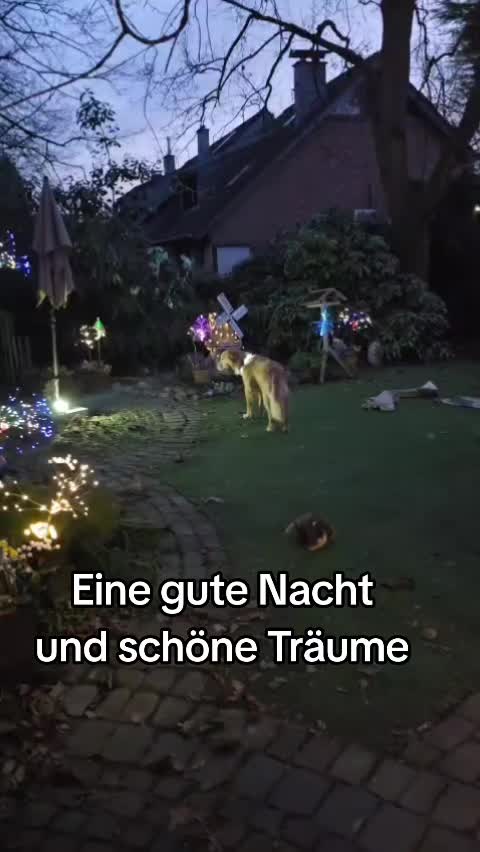 @Fellnasen WG