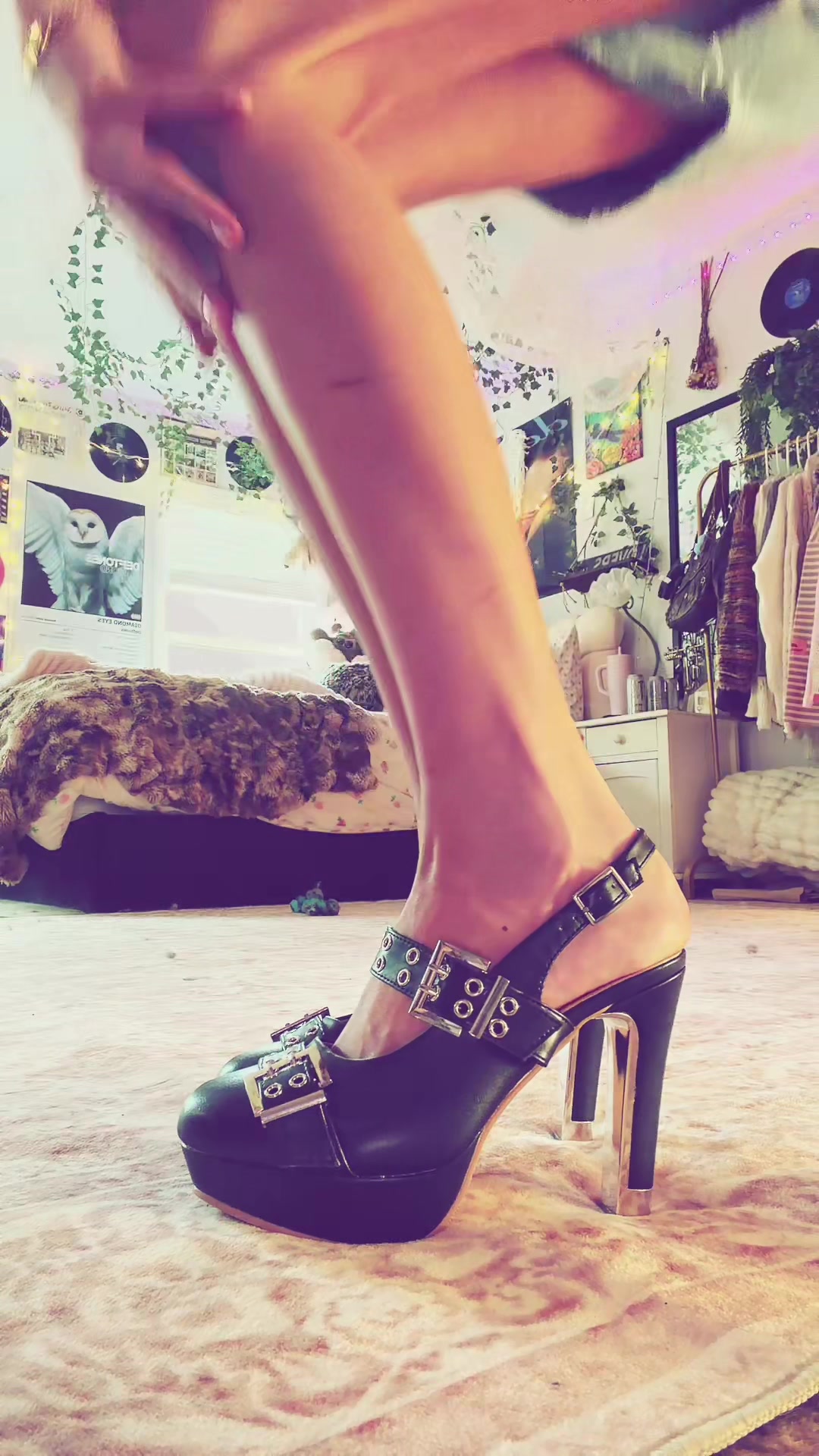 @✰ a l l i e ✰