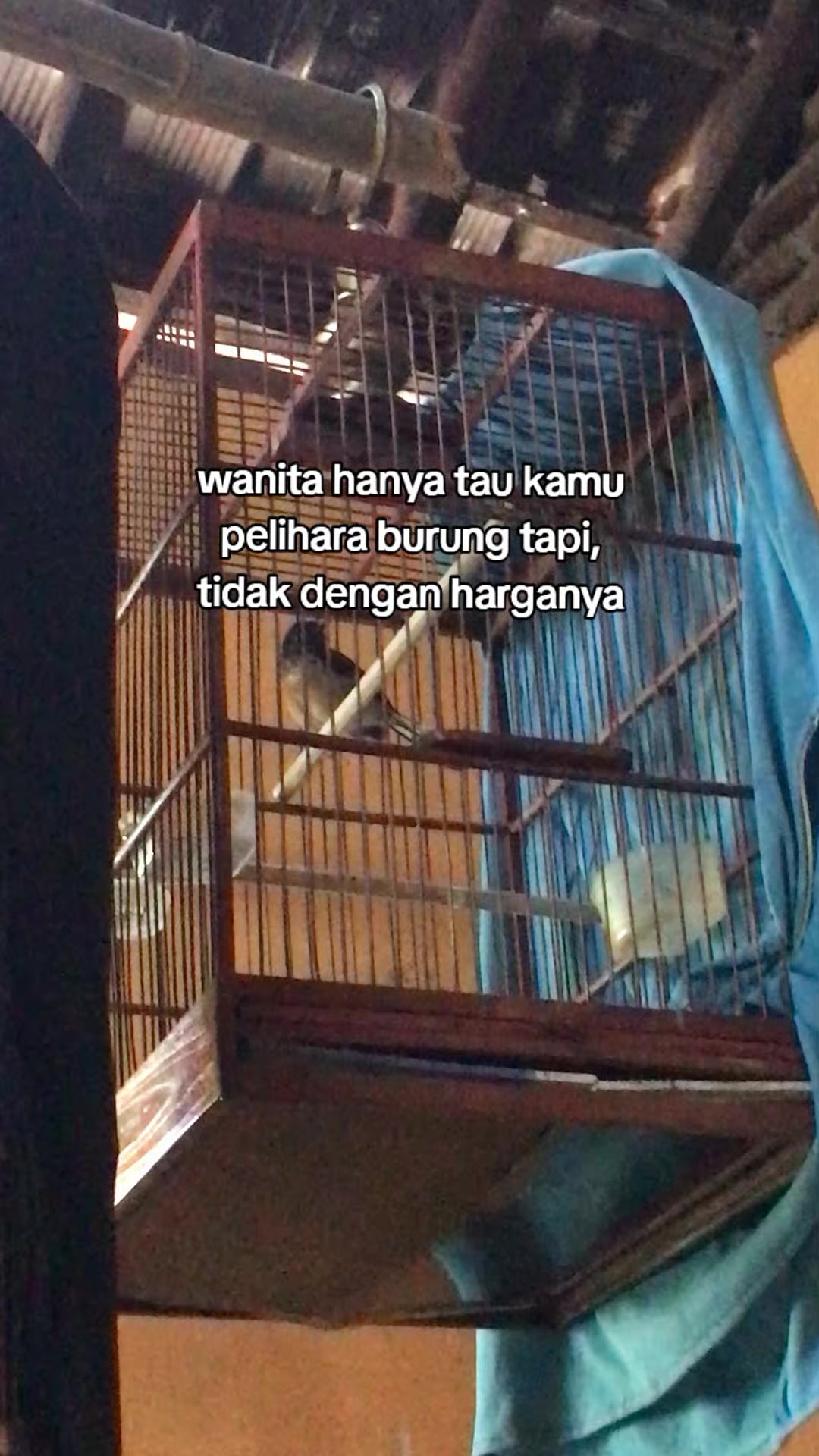 @𝕊𝕖𝕓𝕖 𝕄𝕖𝕚𝕤𝕪𝕒 