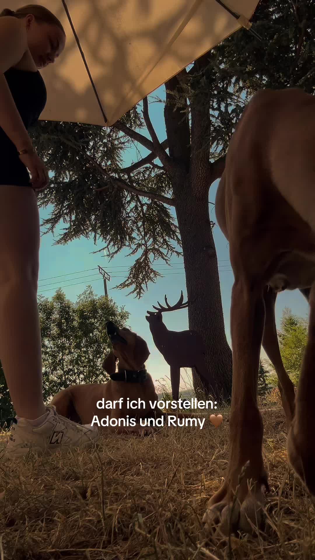 @Emily🏹