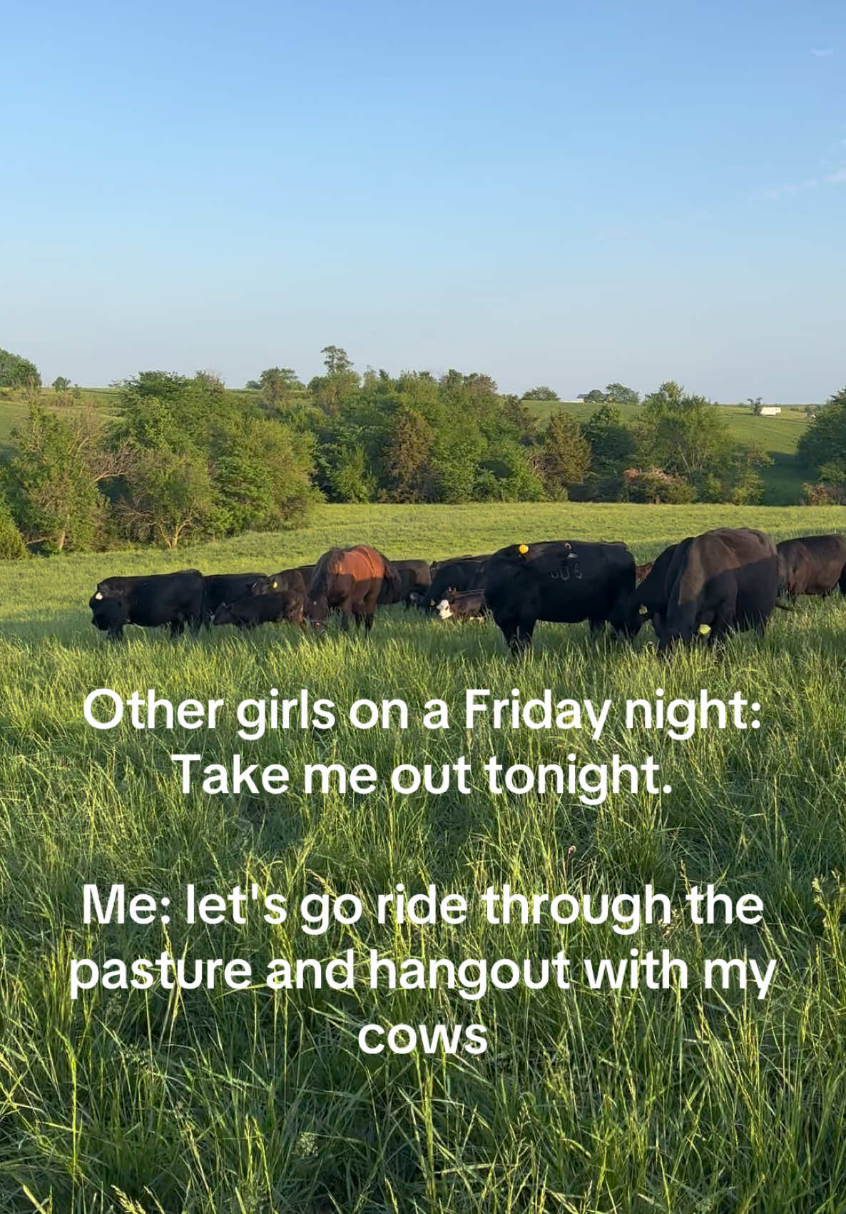 @Girly Sod Buster