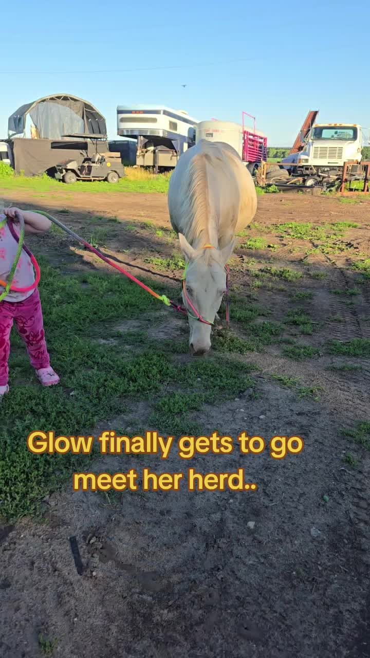 @Small Town Farm LLC