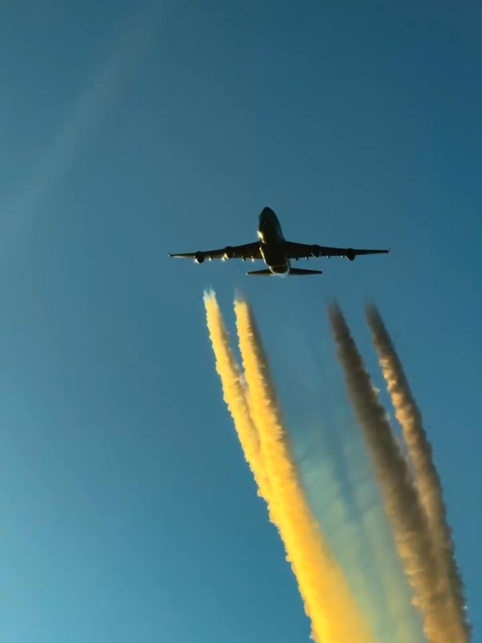 @𝑂𝑣𝑖 🦅