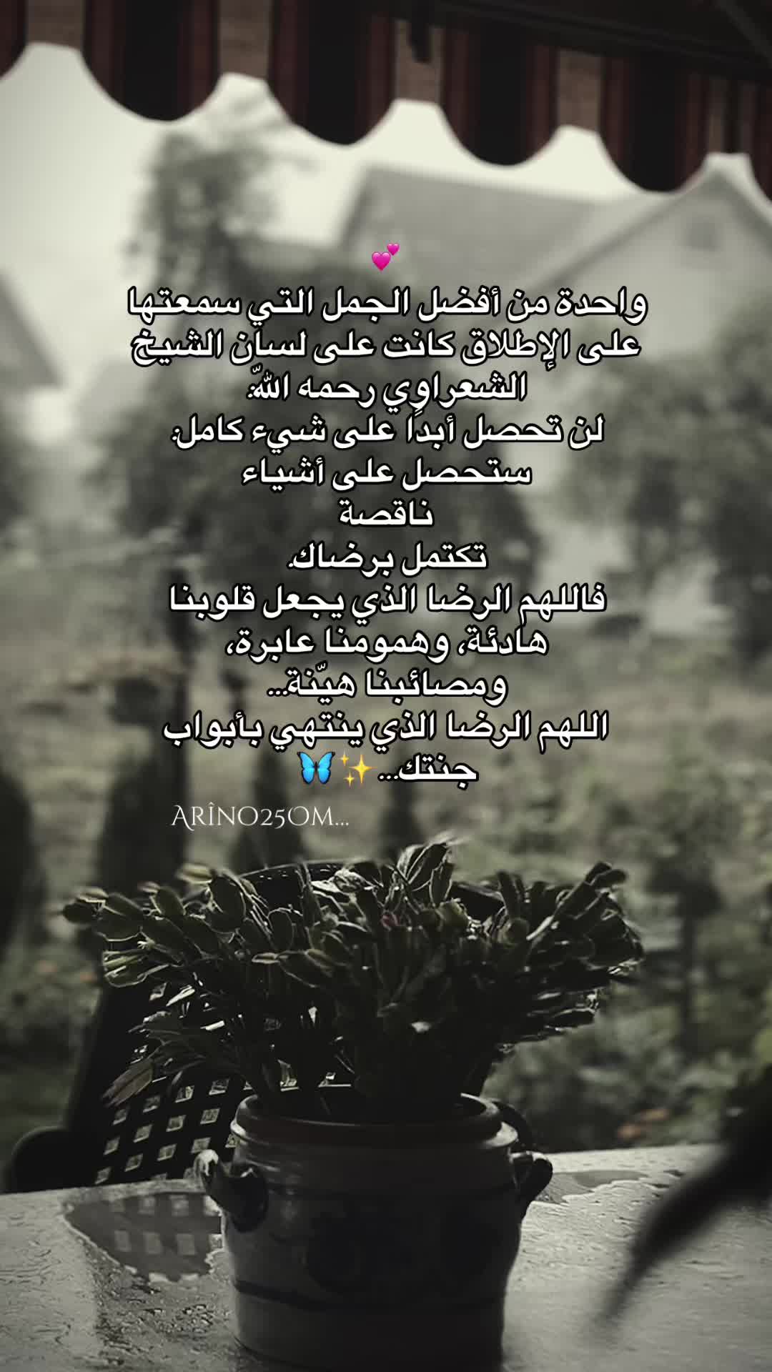 @Ar&icirc;no25Om