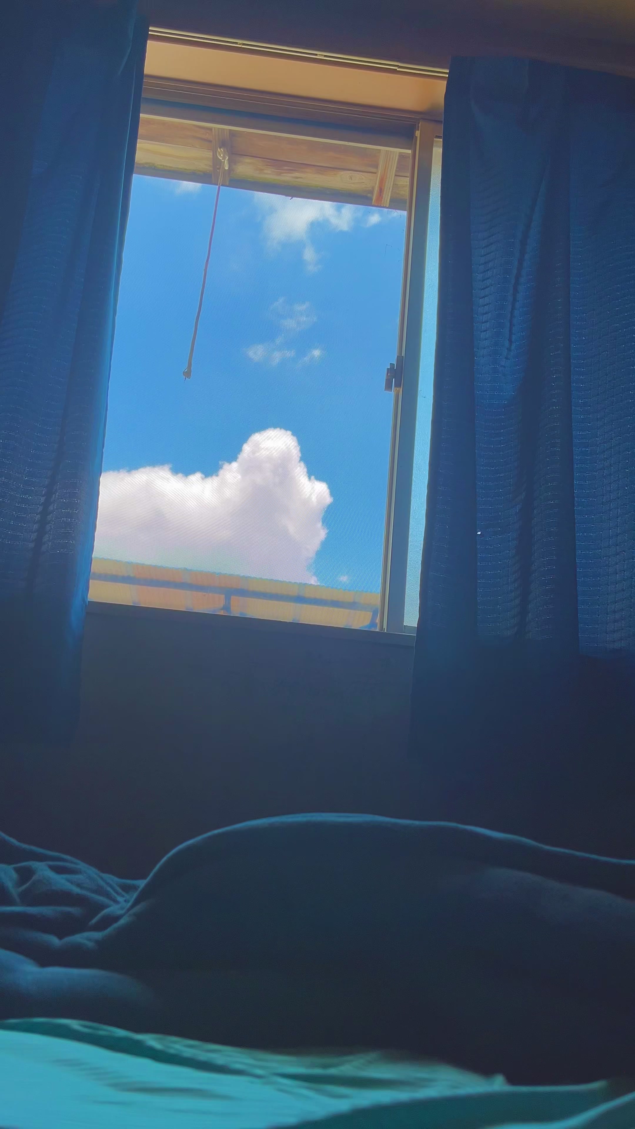 @︎︎夏空
