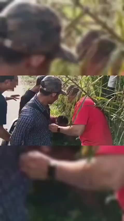 @Lensa Kulonprogo