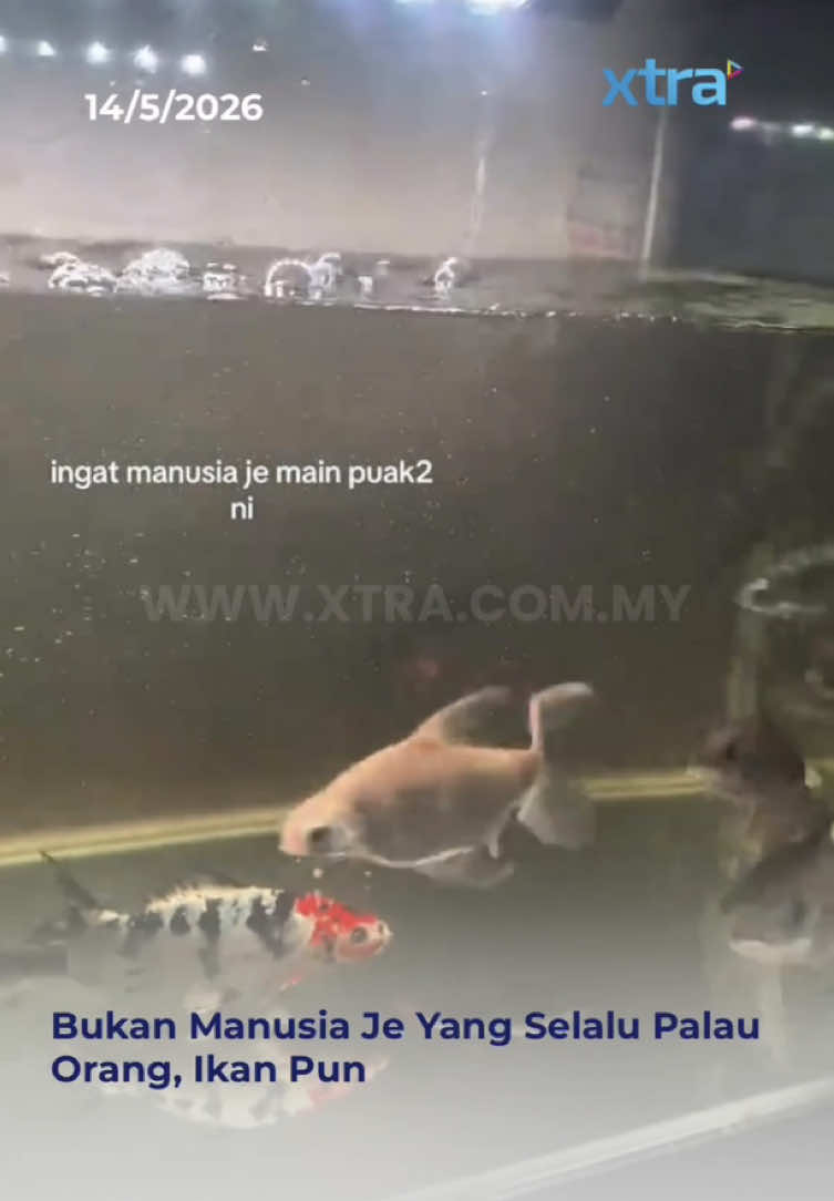 @XTRA