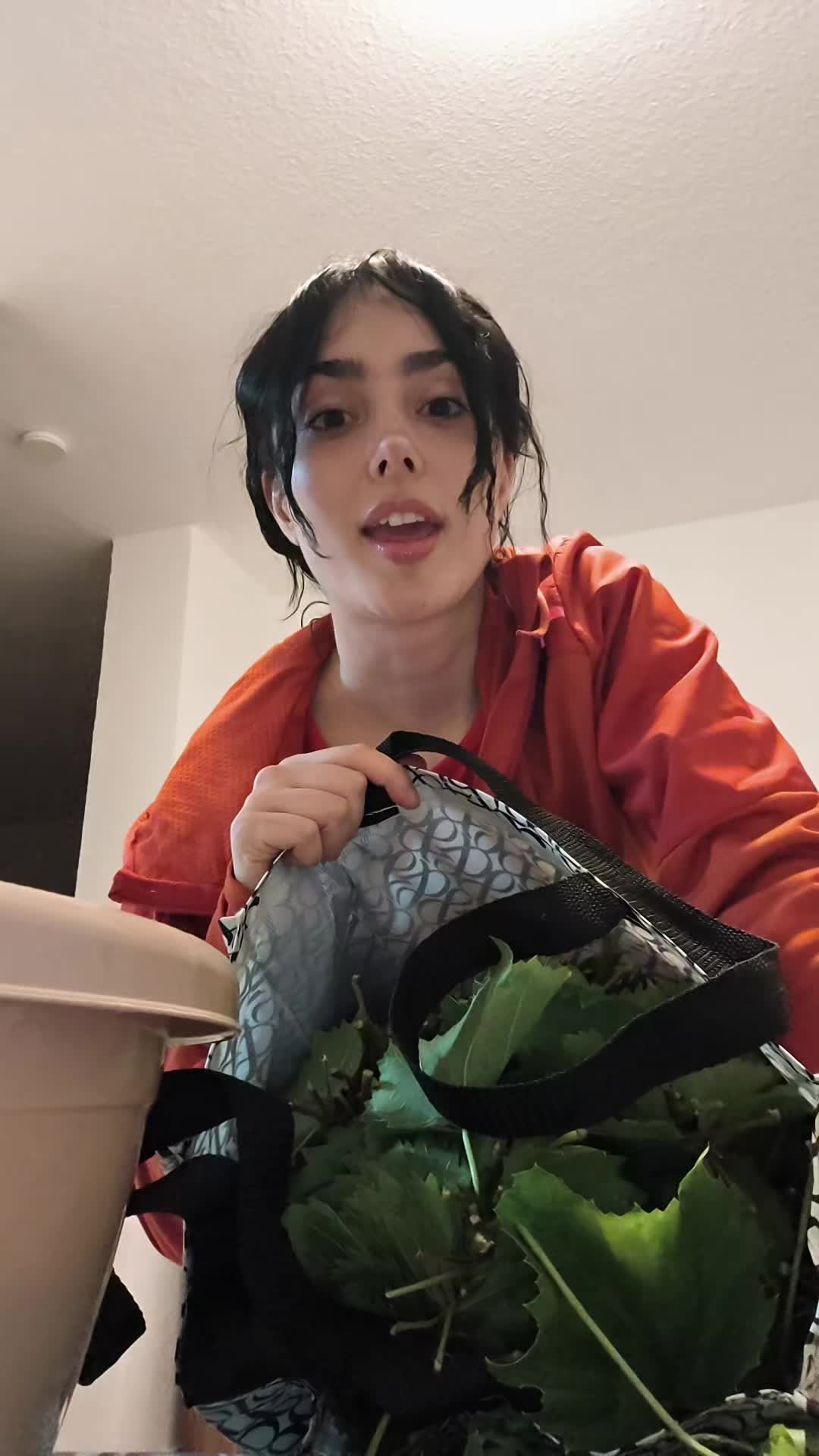 @afiiuwu 🦉🪷