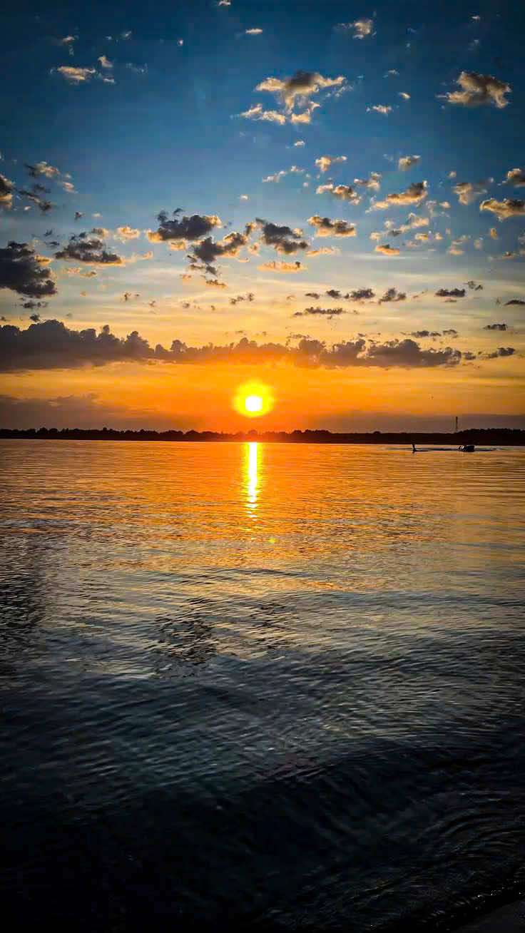 @𝑻𝒂̂𝒏 𝑻𝒉𝒊