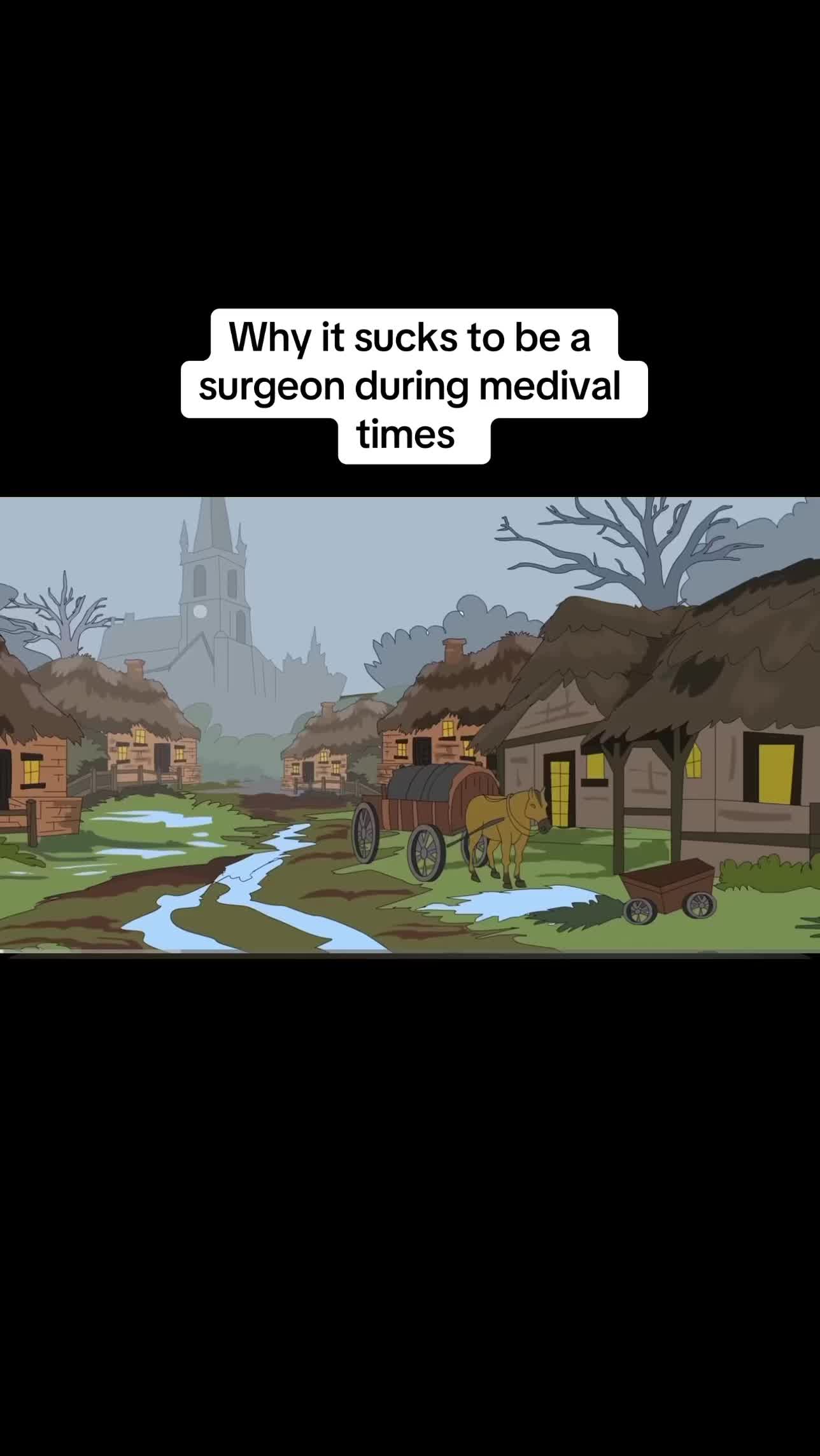 @🪼🪼🪼