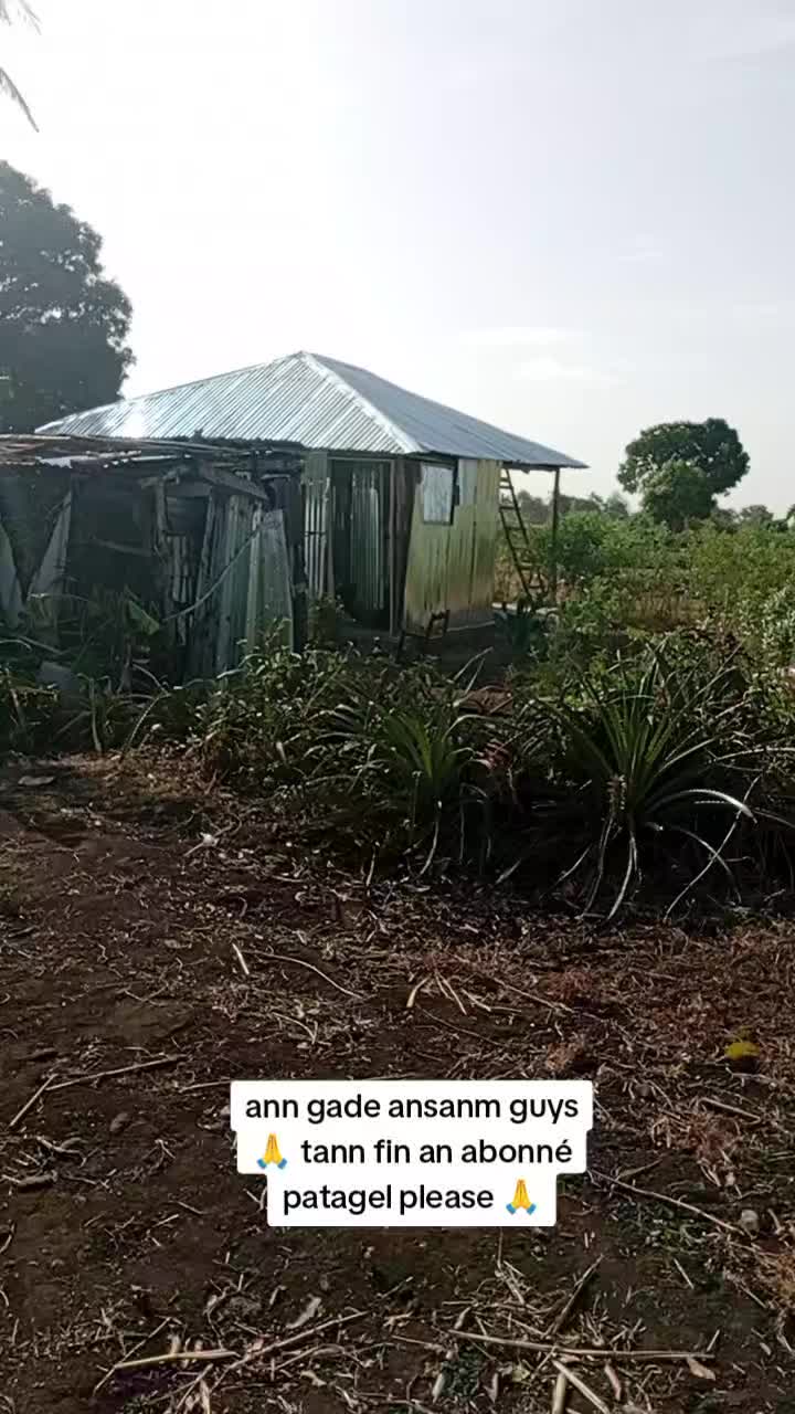 @Dènye lè 🤡