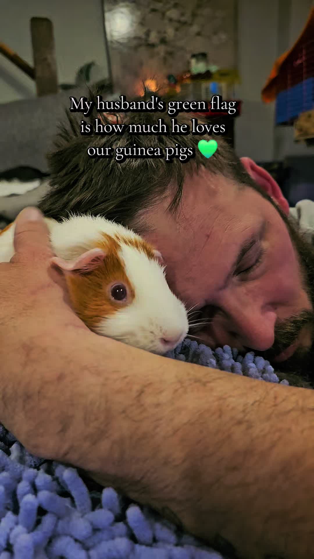 @♡GuineaPiggy♡