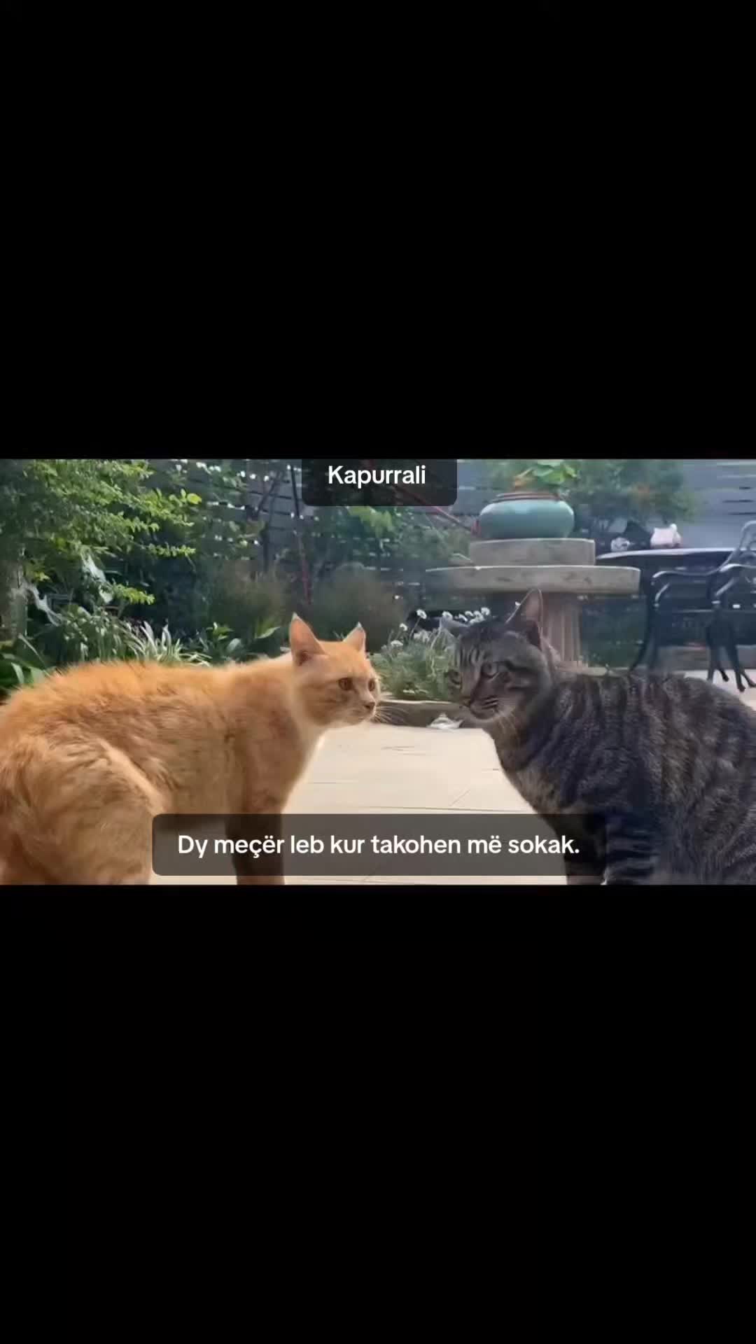 @Kapurrali
