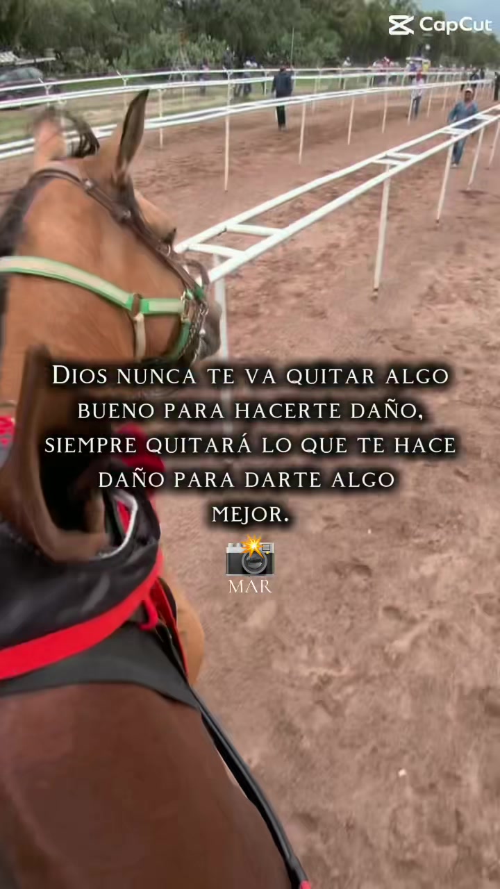 @Miguel Rodriguez 🏆